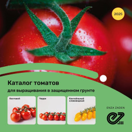 ДЖИНФИЗ