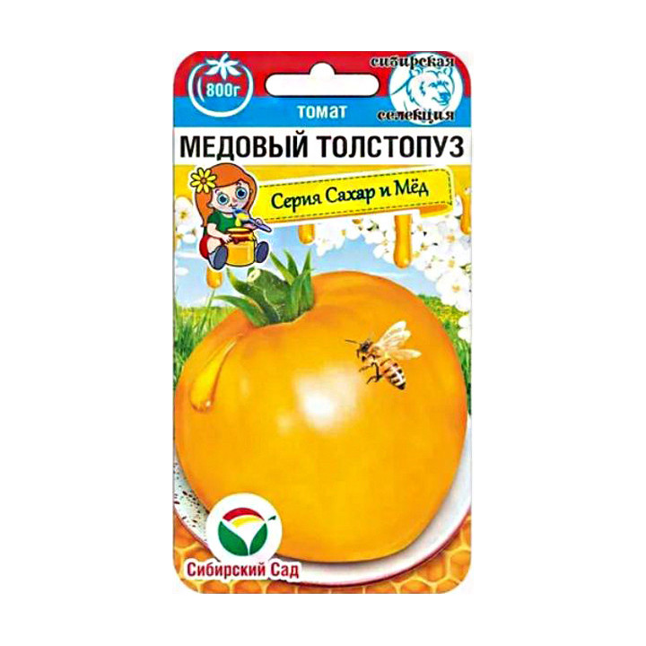 МЕДОВЫЙ ТОЛСТОПУЗ