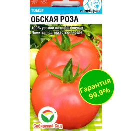 ОБСКАЯ РОЗА