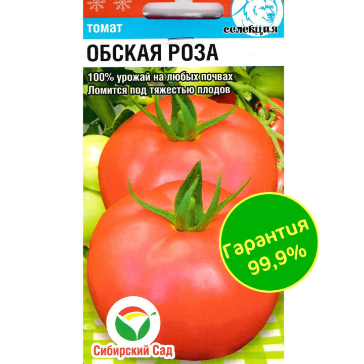 ОБСКАЯ РОЗА