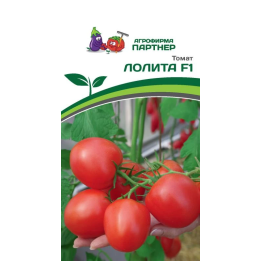 ЛОЛИТА