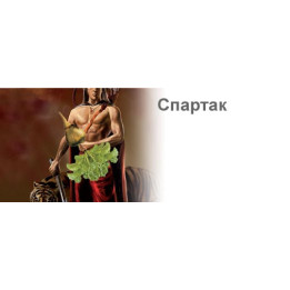 Спартак