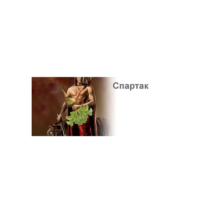 Спартак