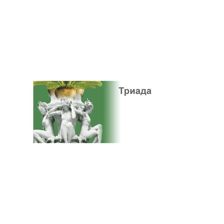 Триада