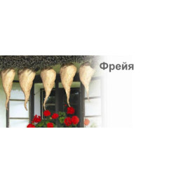 Фрейя