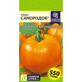 САМОРОДОК