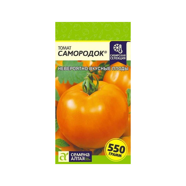 САМОРОДОК