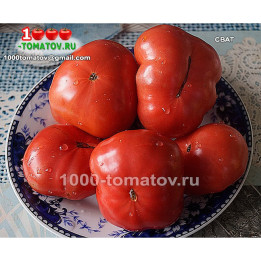 СВАТ