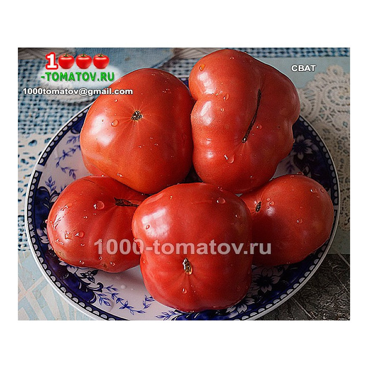 СВАТ