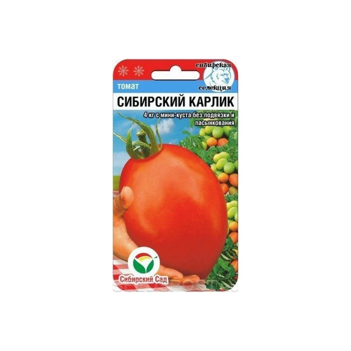 СИБИРСКИЙ КАРЛИК