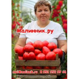 СЕРДЦЕ МИНУСИНСКА