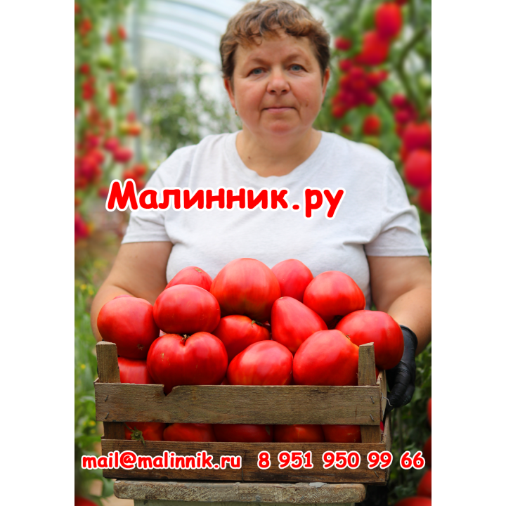 СЕРДЦЕ МИНУСИНСКА