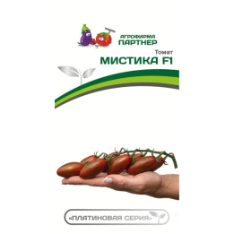 МИСТИКА