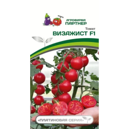 ВИЗАЖИСТ