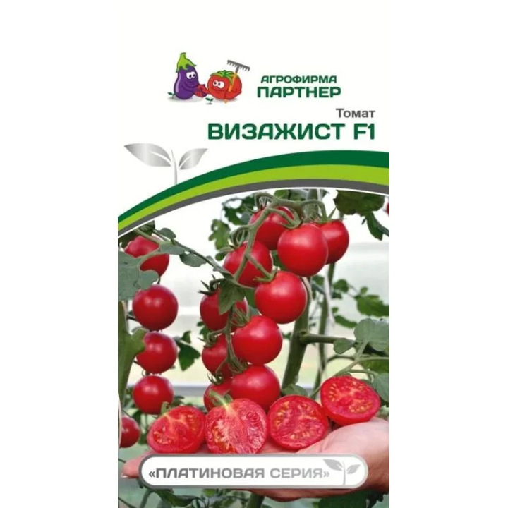 ВИЗАЖИСТ