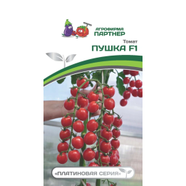 ПУШКА