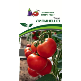 ЛИПИНЕЦ