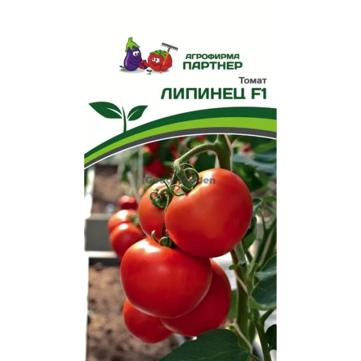 ЛИПИНЕЦ