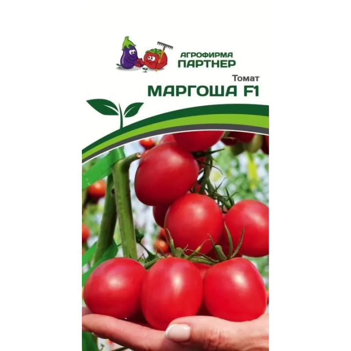 МАРГОША