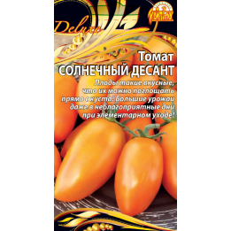 СОЛНЕЧНЫЙ ДЕСАНТ