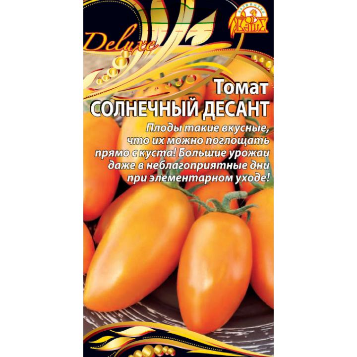 СОЛНЕЧНЫЙ ДЕСАНТ