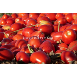 СВТМ 9000