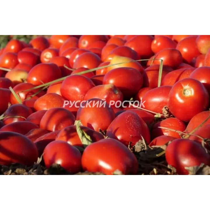 СВТМ 9000