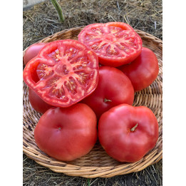 РОЗОВЫЙ МАРМАНДЕ