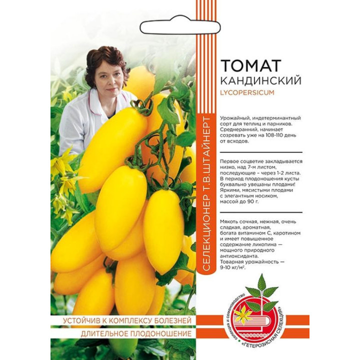 КАНДИНСКИЙ