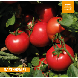 НУН 09225