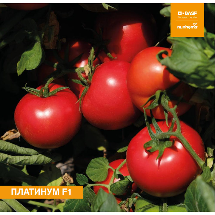 НУН 09225