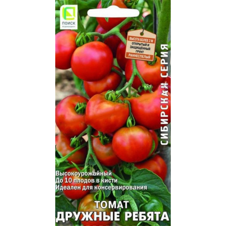 ДРУЖНЫЕ РЕБЯТА