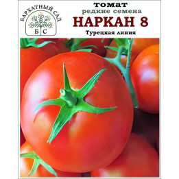 БСВ 8