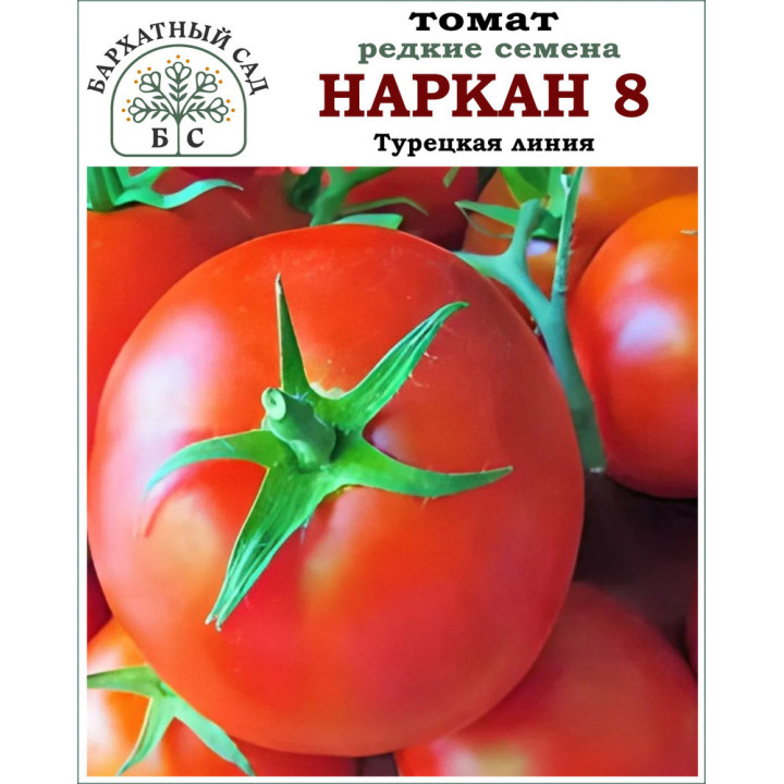 БСВ 8