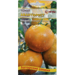 АВАНТЮРИСТ