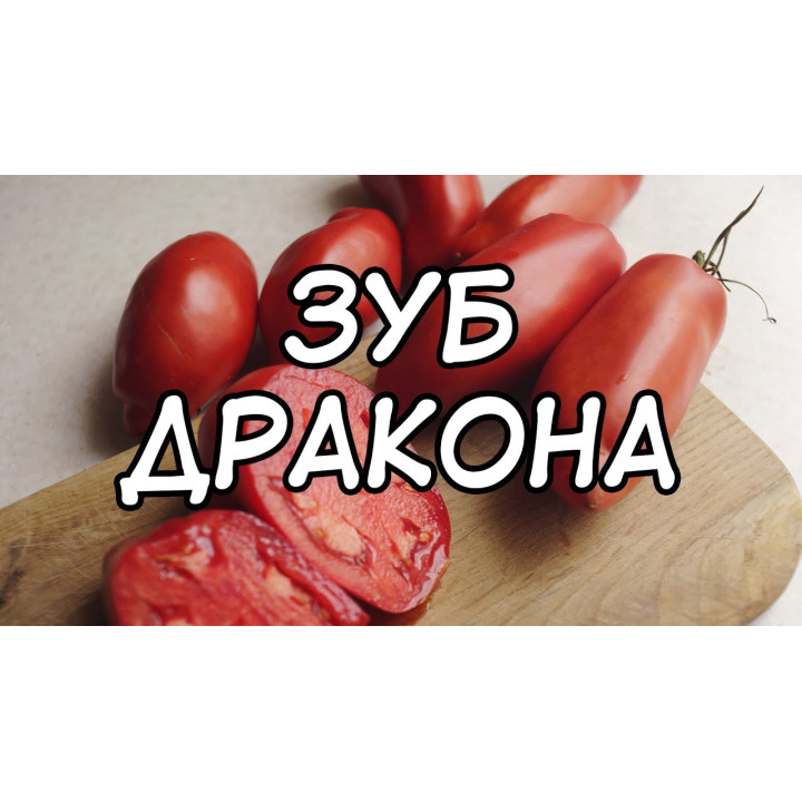 КЛЫК ДРАКОНА