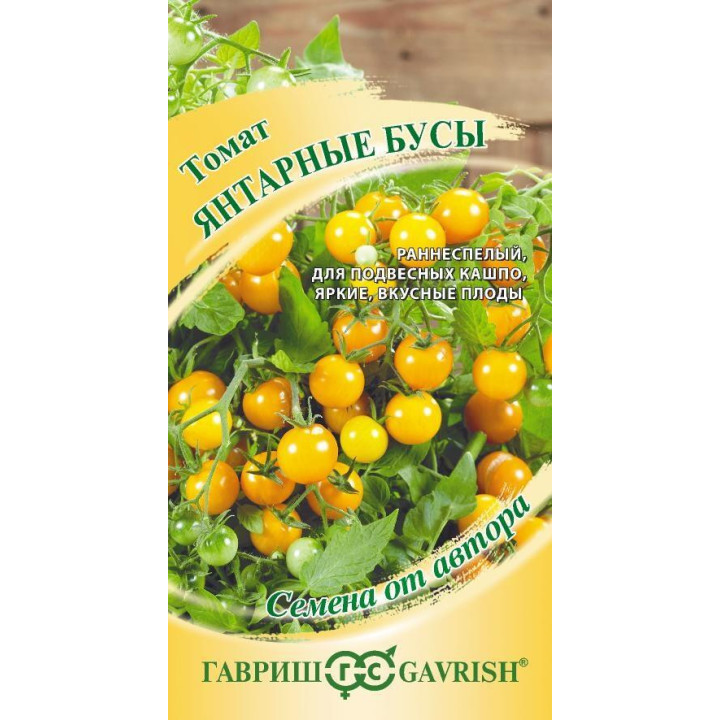 ЯНТАРНЫЕ БУСЫ