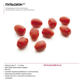 ПУЛЬСИОН