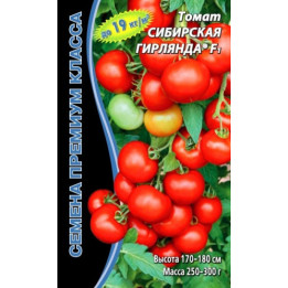 СИБИРСКАЯ ГИРЛЯНДА
