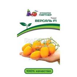 ВЕРСАЛЬ