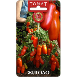 ЖИГОЛО