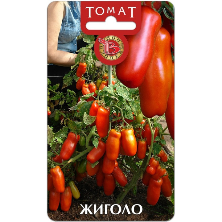 ЖИГОЛО