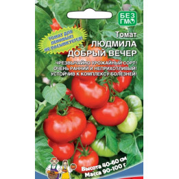 ЛЮДМИЛА ДОБРЫЙ ВЕЧЕР