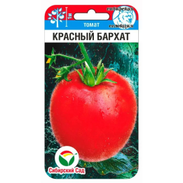 КРАСНЫЙ БАРХАТ