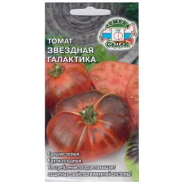 ЗВЕЗДНАЯ ГАЛАКТИКА