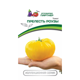 ПРЕЛЕСТЬ РОУЗЫ
