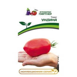 УНДИНА