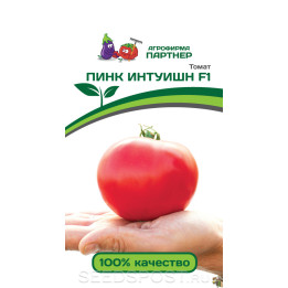 ПИНК ИНТУИШН