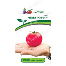 ЛЕДИ РОУЗ