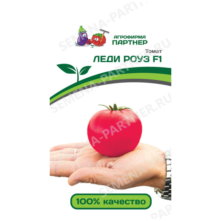 ЛЕДИ РОУЗ